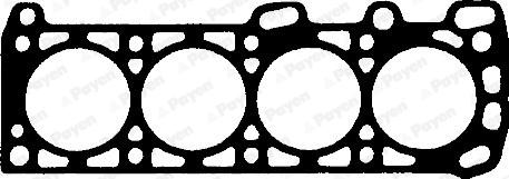 Payen BK410 - Guarnizione, Testata www.autoricambi360.it