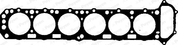 Payen BK080 - Guarnizione, Testata www.autoricambi360.it