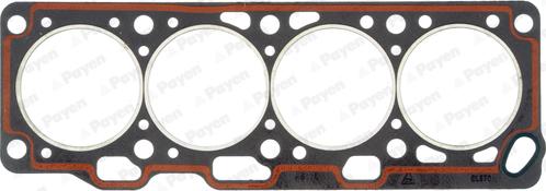 Payen BL570 - Guarnizione, Testata www.autoricambi360.it