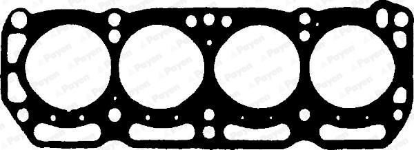 Payen BN170 - Guarnizione, Testata www.autoricambi360.it