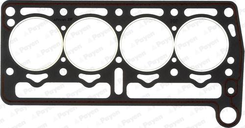 Payen BP520 - Guarnizione, Testata www.autoricambi360.it