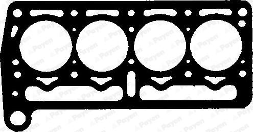 Payen BP030 - Guarnizione, Testata www.autoricambi360.it