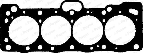 Payen BP730 - Guarnizione, Testata www.autoricambi360.it