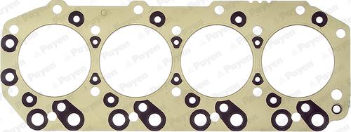 Payen BR990 - Guarnizione, Testata www.autoricambi360.it