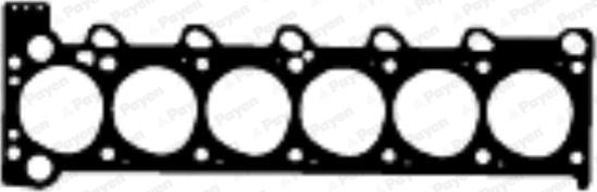 Payen BR441 - Guarnizione, Testata www.autoricambi360.it