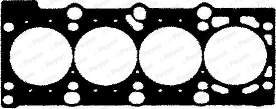 Payen BR831 - Guarnizione, Testata www.autoricambi360.it