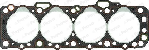 Payen BR360 - Guarnizione, Testata www.autoricambi360.it