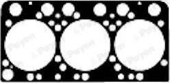 Payen BS560 - Guarnizione, Testata www.autoricambi360.it