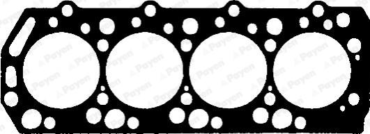 Payen BS130 - Guarnizione, Testata www.autoricambi360.it