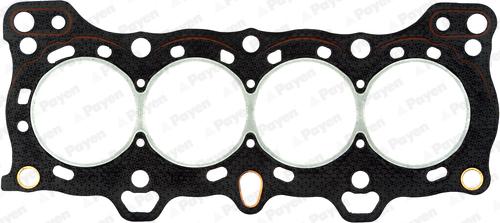 Payen BS880 - Guarnizione, Testata www.autoricambi360.it
