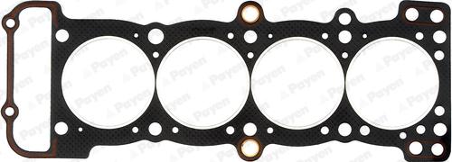 Payen BS280 - Guarnizione, Testata www.autoricambi360.it