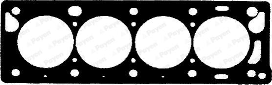 Payen BS790 - Guarnizione, Testata www.autoricambi360.it