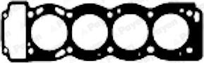 Payen BT560 - Guarnizione, Testata www.autoricambi360.it