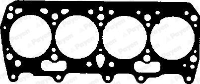 Payen BV680 - Guarnizione, Testata www.autoricambi360.it