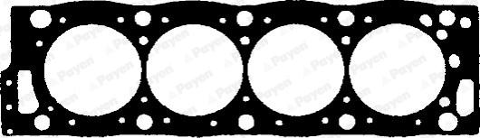 Payen BV140 - Guarnizione, Testata www.autoricambi360.it