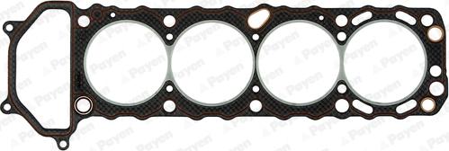 Payen BV310 - Guarnizione, Testata www.autoricambi360.it