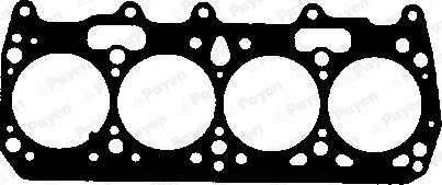 Payen BW980 - Guarnizione, Testata www.autoricambi360.it