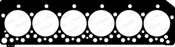 Payen BW920 - Guarnizione, Testata www.autoricambi360.it