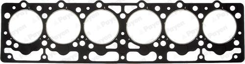 Payen BW480 - Guarnizione, Testata www.autoricambi360.it