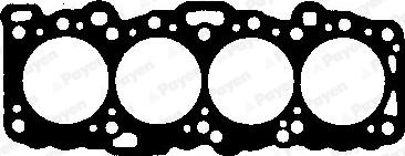 Payen BW421 - Guarnizione, Testata www.autoricambi360.it