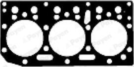 Payen BW470 - Guarnizione, Testata www.autoricambi360.it