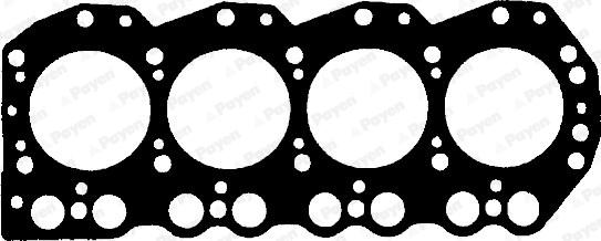 Payen BW540 - Guarnizione, Testata www.autoricambi360.it
