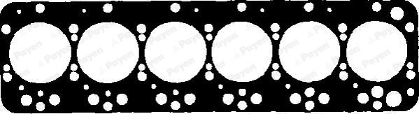 Payen BW160 - Guarnizione, Testata www.autoricambi360.it