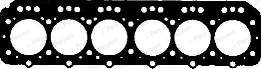 Payen BW120 - Guarnizione, Testata www.autoricambi360.it