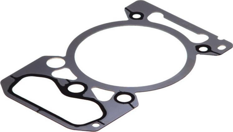 Payen BW390 - Guarnizione, Testata www.autoricambi360.it