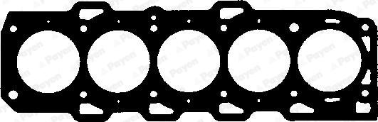 Payen BW321 - Guarnizione, Testata www.autoricambi360.it