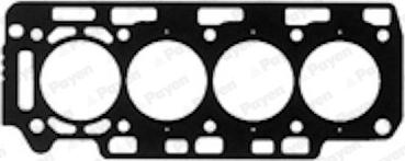 Payen BX590 - Guarnizione, Testata www.autoricambi360.it