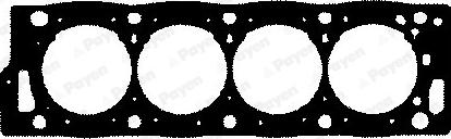 Payen BY320 - Guarnizione, Testata www.autoricambi360.it