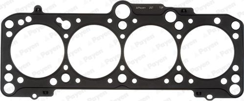 Payen BZ910 - Guarnizione, Testata www.autoricambi360.it