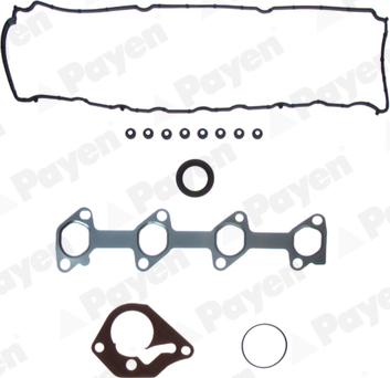 Payen CG9490 - Kit guarnizioni, Testata www.autoricambi360.it