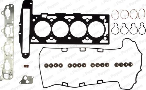 Payen CG9580 - Kit guarnizioni, Testata www.autoricambi360.it