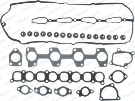 Payen CG9870 - Kit guarnizioni, Testata www.autoricambi360.it
