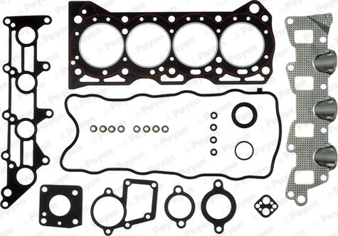 Payen CG5470 - Kit guarnizioni, Testata www.autoricambi360.it