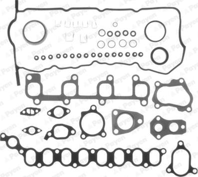 Payen CG7491 - Kit guarnizioni, Testata www.autoricambi360.it