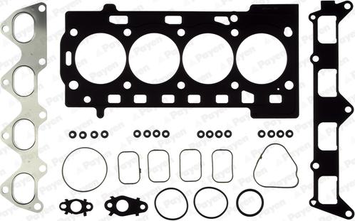 Payen CH5960 - Kit guarnizioni, Testata www.autoricambi360.it