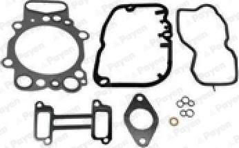Payen CH5671 - Kit guarnizioni, Testata www.autoricambi360.it