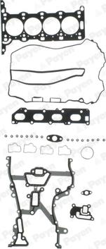 Payen CH5031 - Kit guarnizioni, Testata www.autoricambi360.it