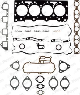 Payen CH6540 - Kit guarnizioni, Testata www.autoricambi360.it