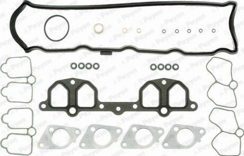 Payen CY081 - Kit guarnizioni, Testata www.autoricambi360.it