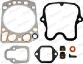 Payen DG856 - Kit guarnizioni, Testata www.autoricambi360.it