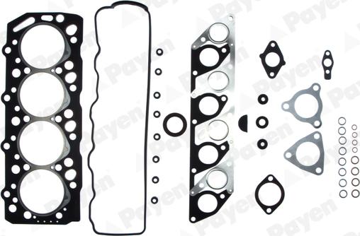 Payen DS130 - Kit guarnizioni, Testata www.autoricambi360.it