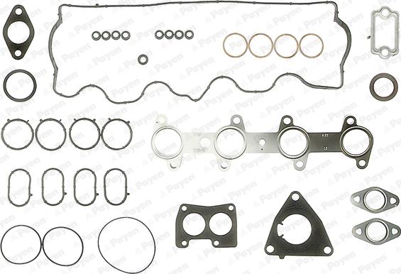 Payen DZ790 - Kit guarnizioni, Testata www.autoricambi360.it