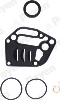 Payen EY841 - Kit guarnizioni, Monoblocco www.autoricambi360.it