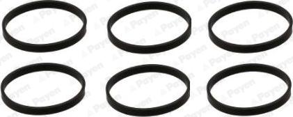 Payen HA5074 - Kit guarnizioni, Collettore aspirazione www.autoricambi360.it
