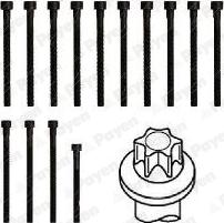Payen HBS468 - Kit bulloni testata www.autoricambi360.it