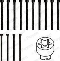 Payen HBS542 - Kit bulloni testata www.autoricambi360.it
